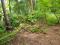 House with 16 cent for sales at Panapadhal, Pudhupariyram, Palakkad 